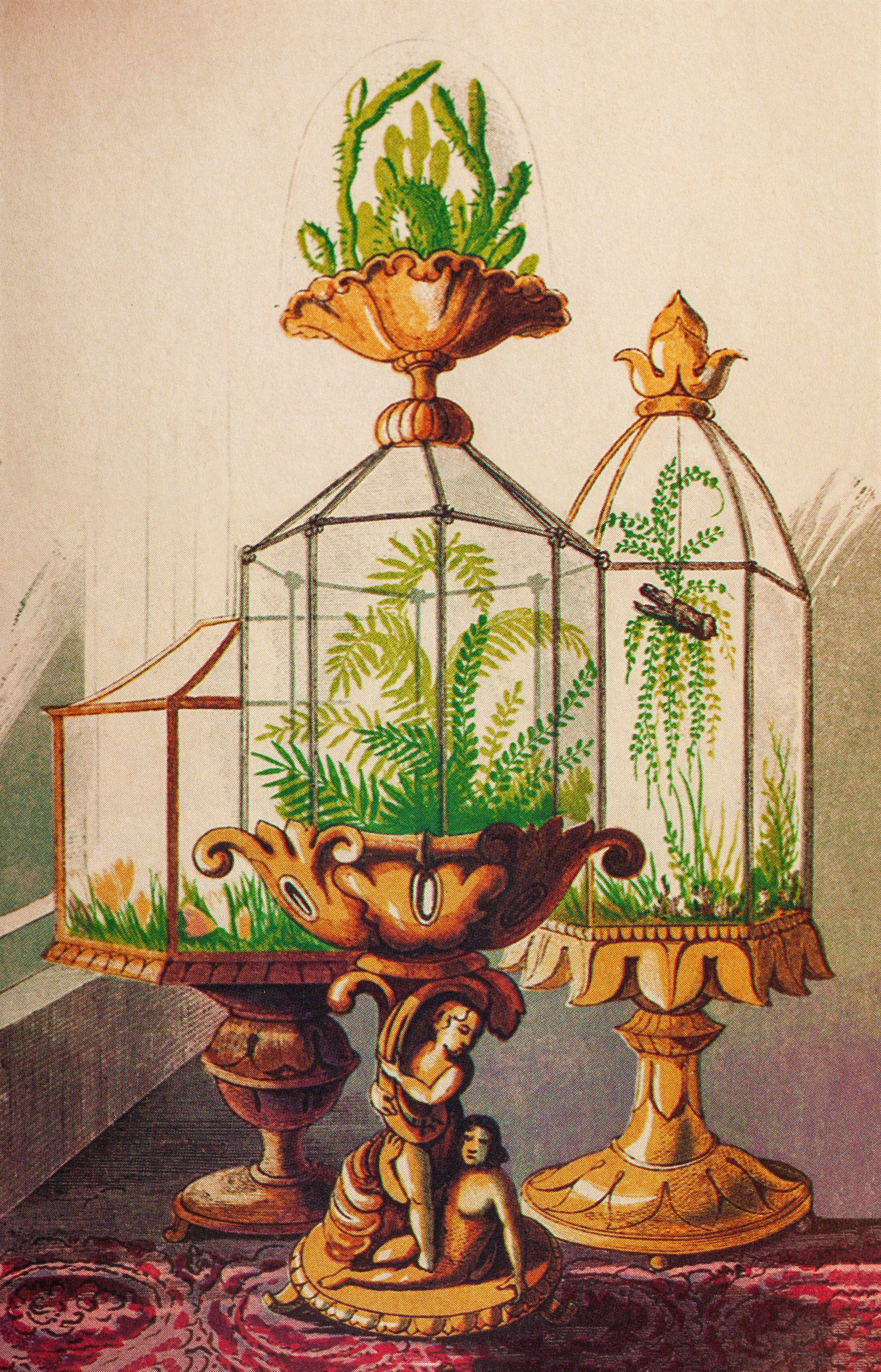 An old-fashioned terrarium