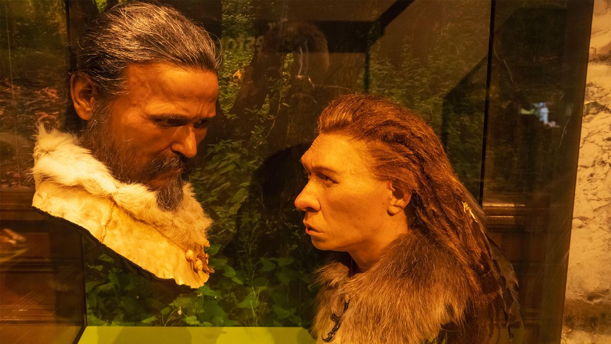 'Het werkte gewoon niet': archeoloog Ludovic Slimak zegt dat kruisingen tussen Neanderthalers en moderne mensen mogelijk het product zijn geweest van mislukte allianties