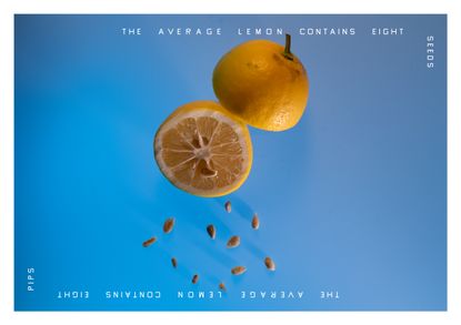 lemons on blue backgrounds