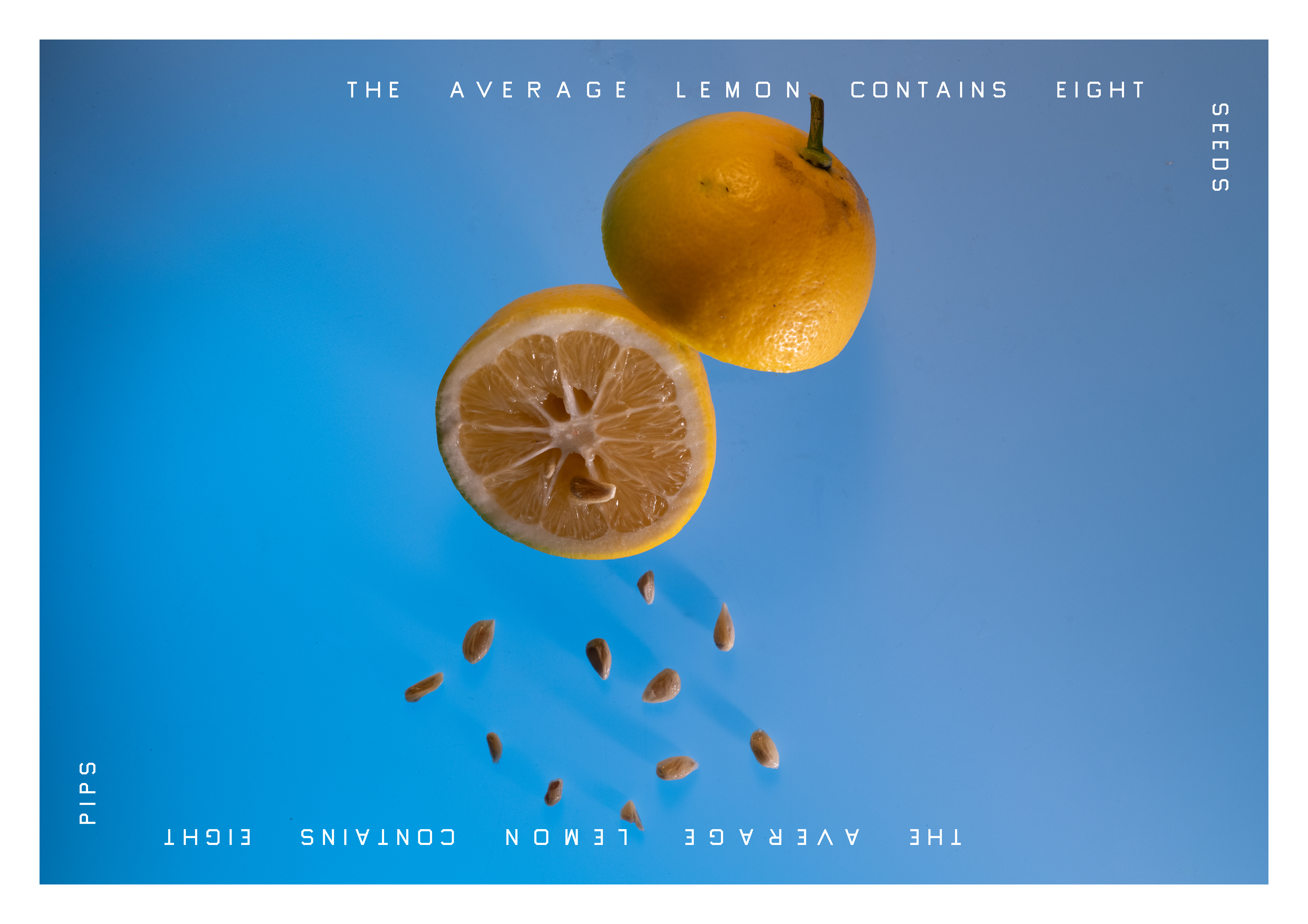 lemons on blue backgrounds