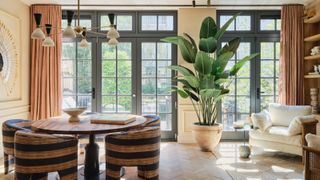 Dining area with brown and blue striped tub chairs, round pedestal table, black Crittall-style doors, apricot curtains, white armchairs, large potted plant and multi-light pendant