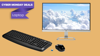 HP monitor Cyber Monday deal