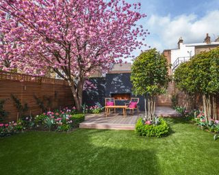 A garden with Cherry blossom tree foliage and raised deck area