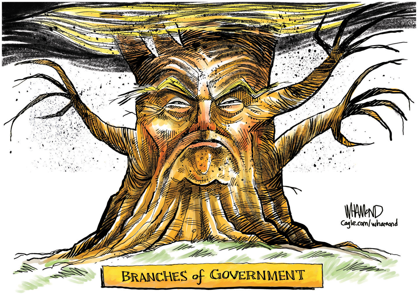 Political Cartoon