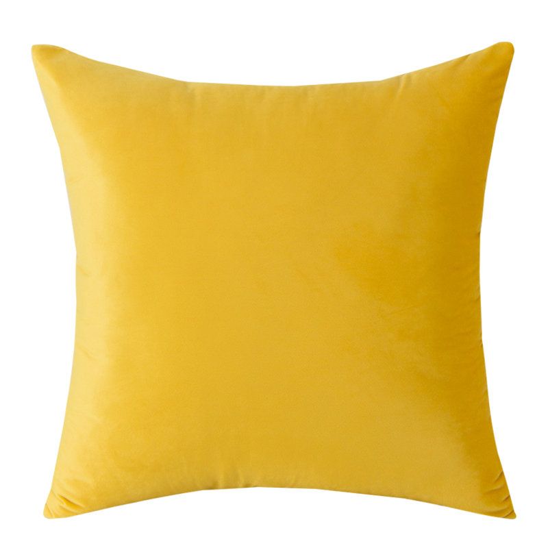 Warisi Square Velvet Pillow Cover and Insert & Reviews | Wayfair