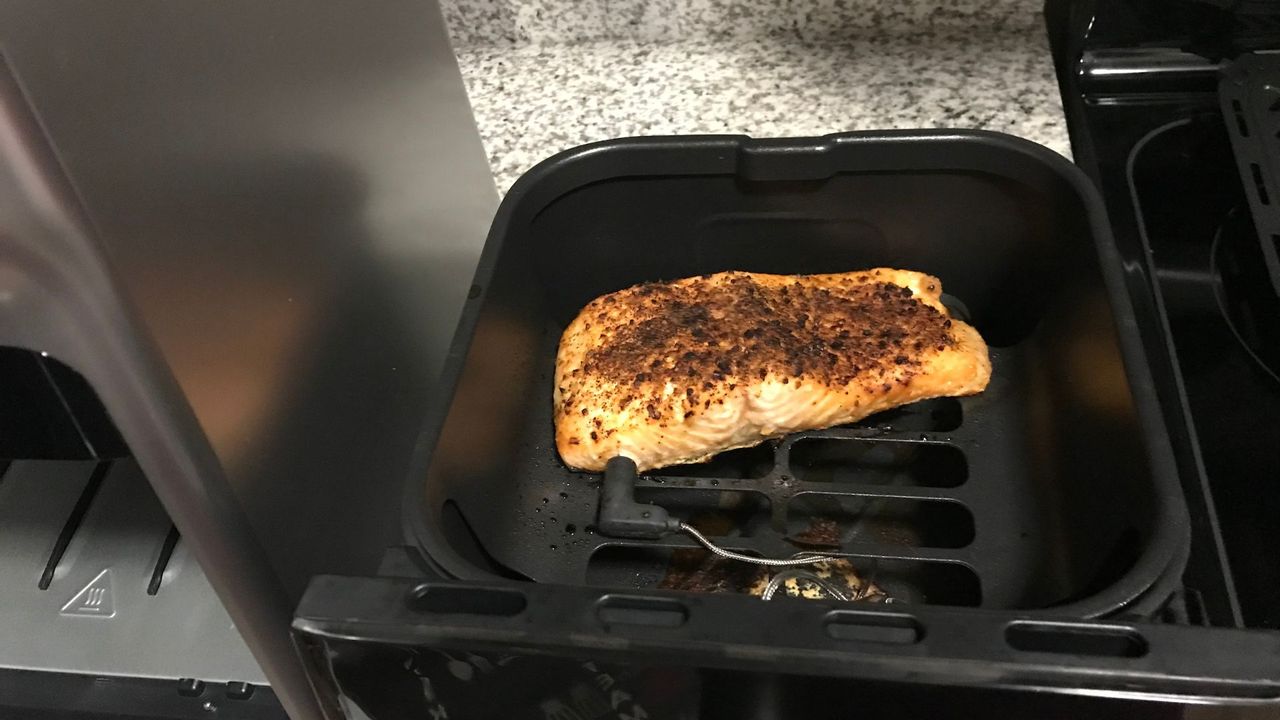 salmon in the dreo chekmaker