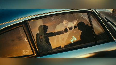 A cat standing on a seat inside a car witnesses an assassination happening just outside of the car. The assassination can be seen taking place in the reflection of the car window. 