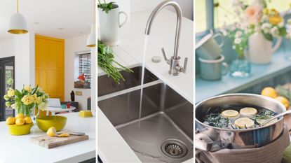 Compilation of three kitchen images to show plants, a sink being cleaned and a simmering pot of lemeons to show how to make a kitchen smell good