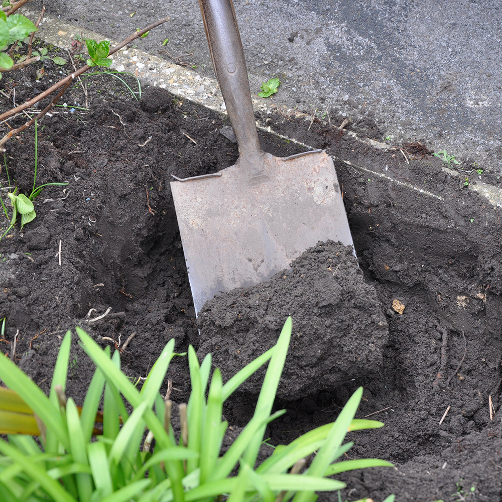 How to grow potatoes – for tasty spuds you’ll like | Ideal Home