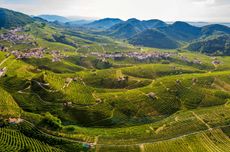 prosecco-terra_panorama