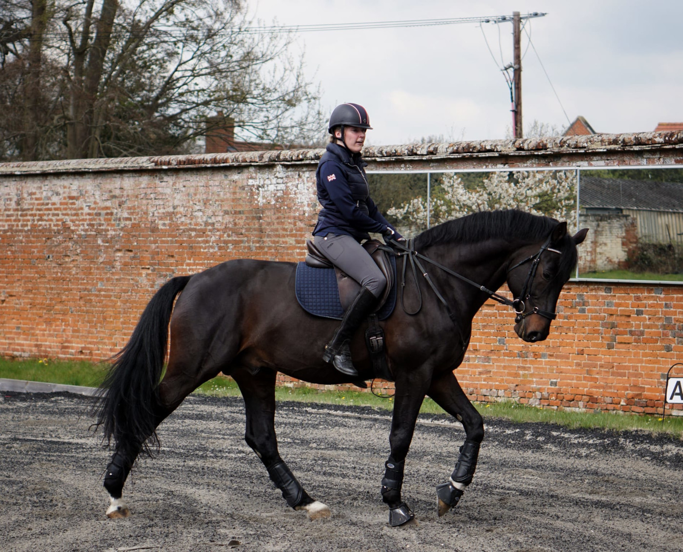 Pictured Paralympian Sophie Christiansen and her new horse, Gladstone, who she hopes to take to the Paris 2024 Olympic Games