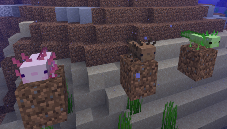 Minecraft axolotl guide: Everything you need to know | PC Gamer