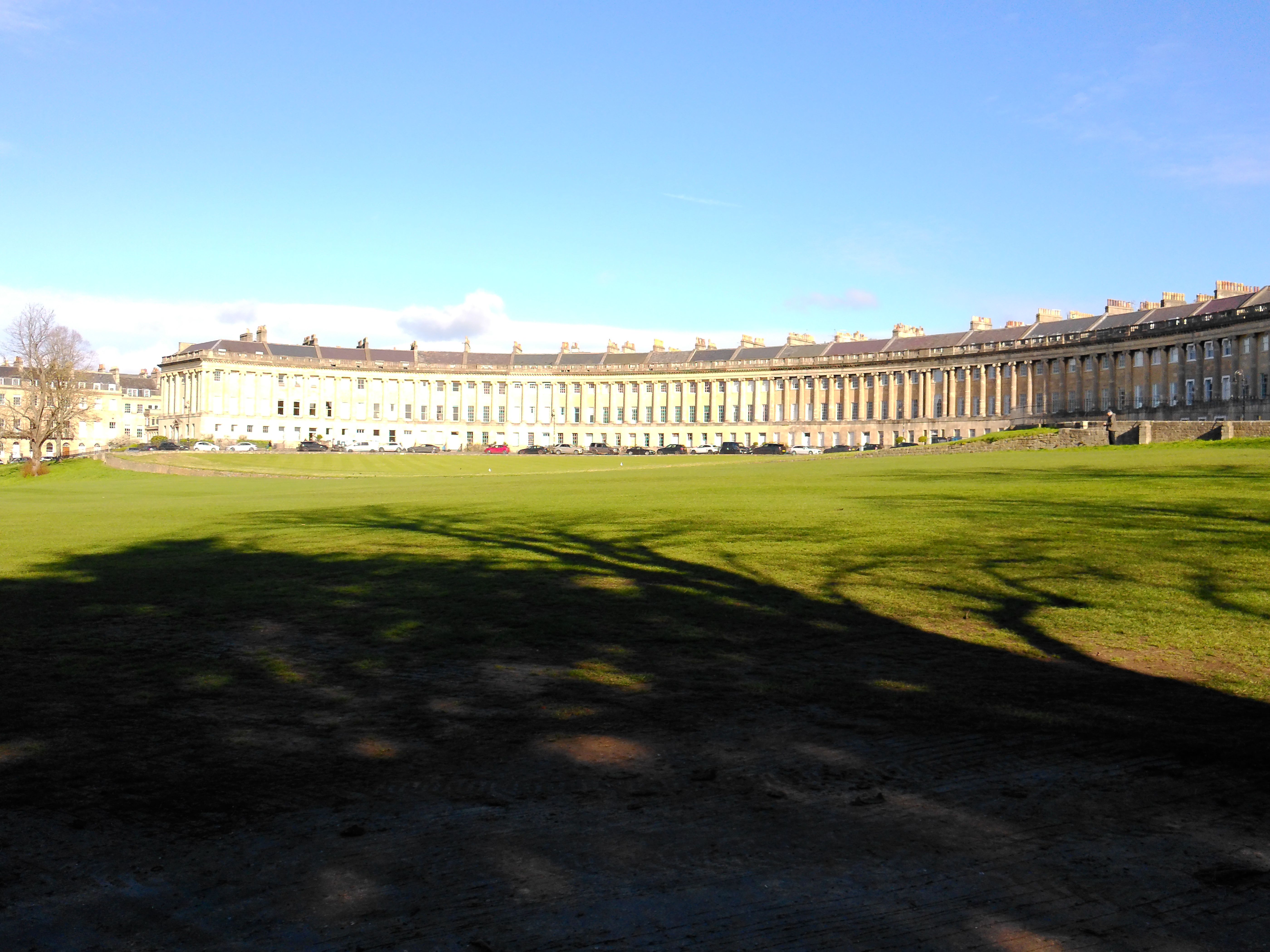 Yashica FX-D S300 sample shot