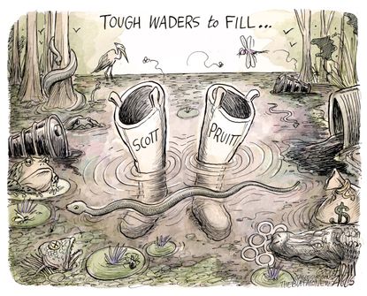 Political cartoon U.S. Scott Pruitt EPA environment resignation corruption swamp