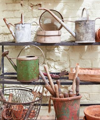 watering cans on reclaimed shelving