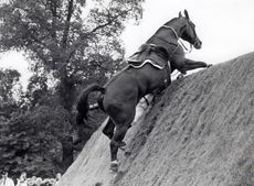 glasgow-hickstead-bank.jpeg