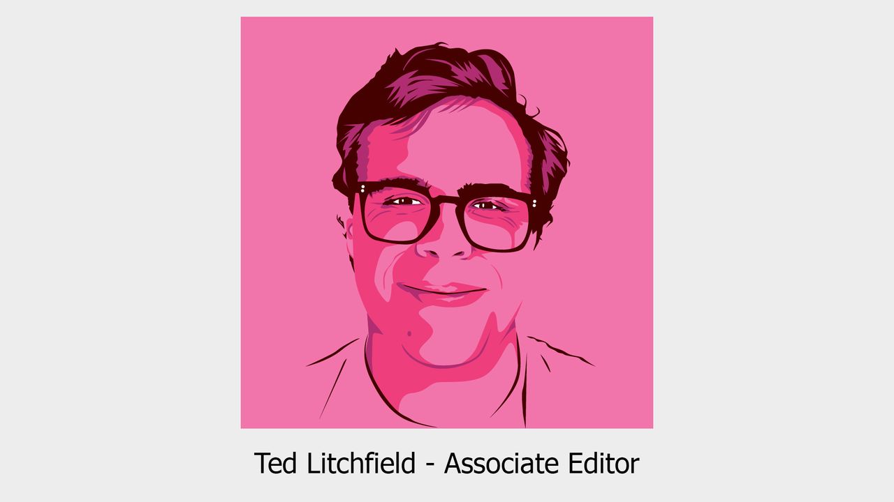 Ted Litchfield and role at PCG.