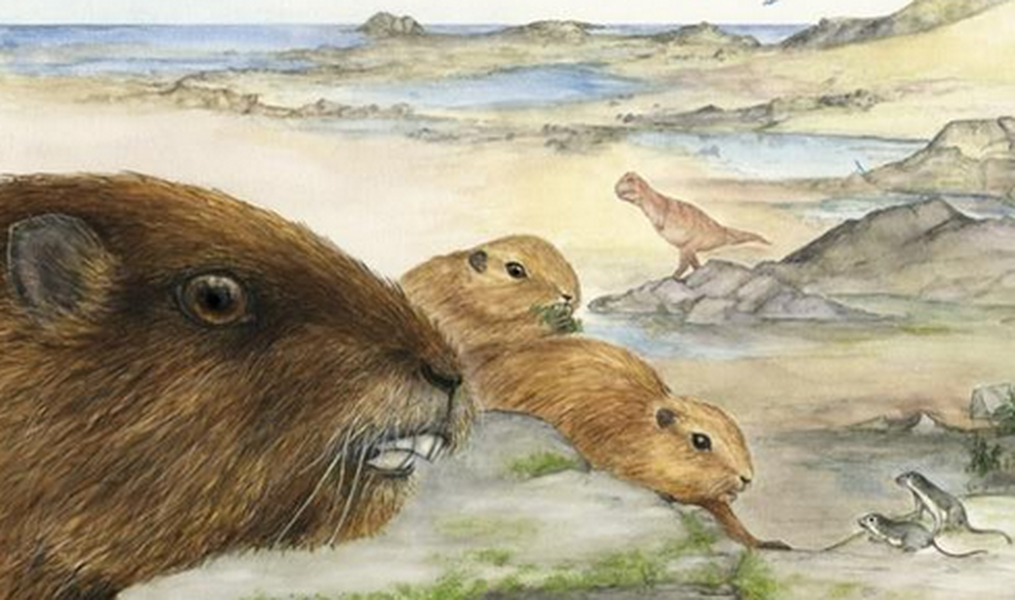 Scientists identify prehistoric 'Punxsutawney Phil on steroids'