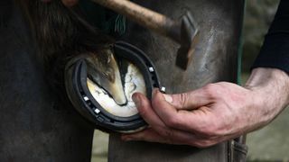 farrier applying a horse shoe