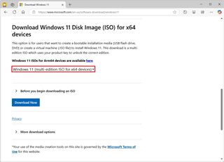 Windows 11 ISO download option