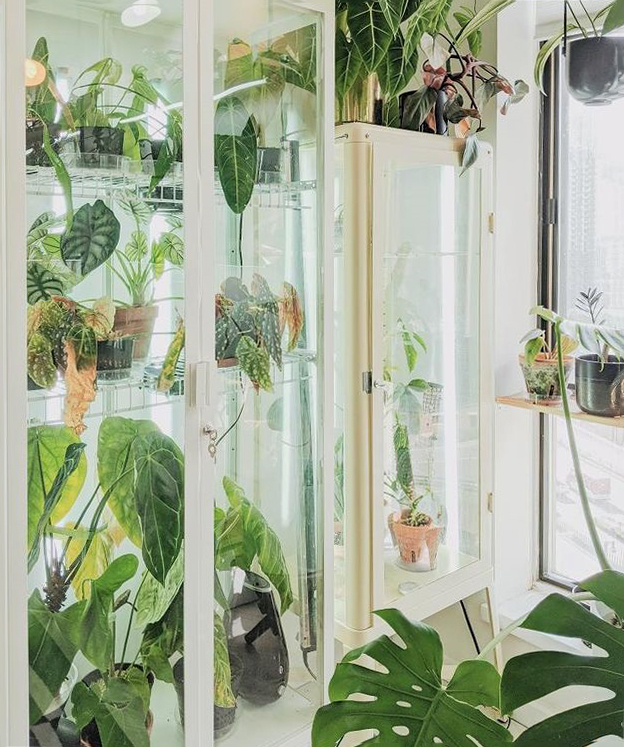 This IKEA greenhouse cabinet hack will turn your home into a jungle ...