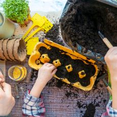 Parent and child fill a recycled egg carton with potting mix to get them ready for planting seeds. Also on the table are biodegradable seedling pots and plant markers