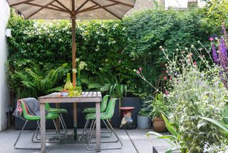 free garden ideas – clean patio with parasol and living wall