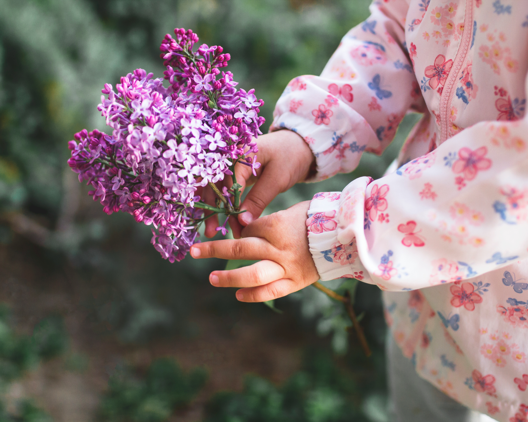 young child holding stems of lilac