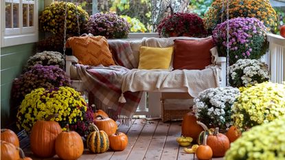 Fall porch with mums and swinging bench