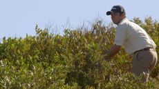 Paul Casey searches for a ball in a bush