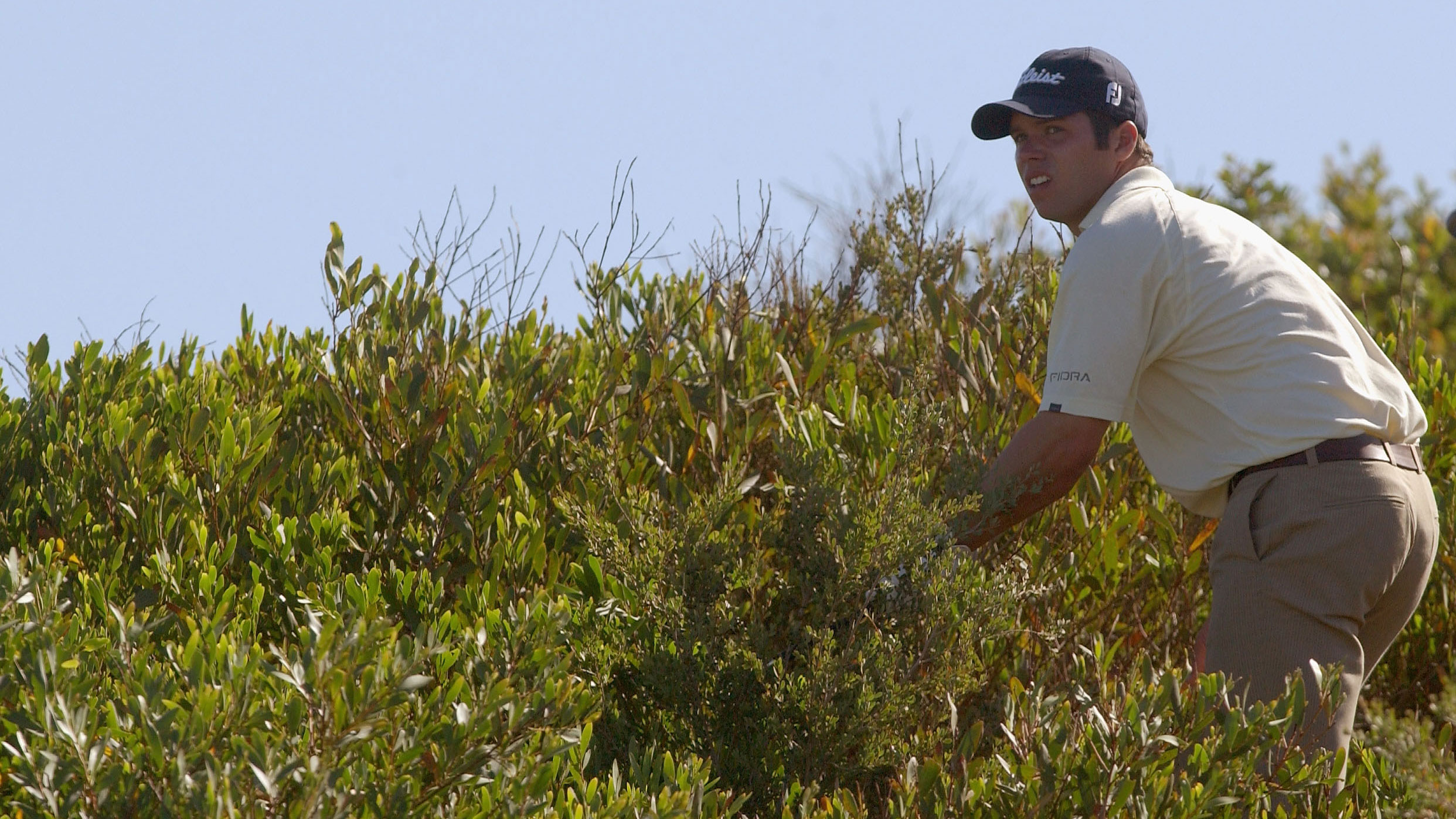 Paul Casey searches for a ball in a bush