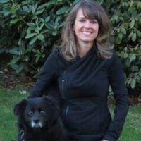 Amy Wilson's avatar