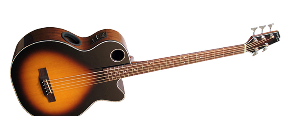 10 of the best acoustic bass guitars | MusicRadar