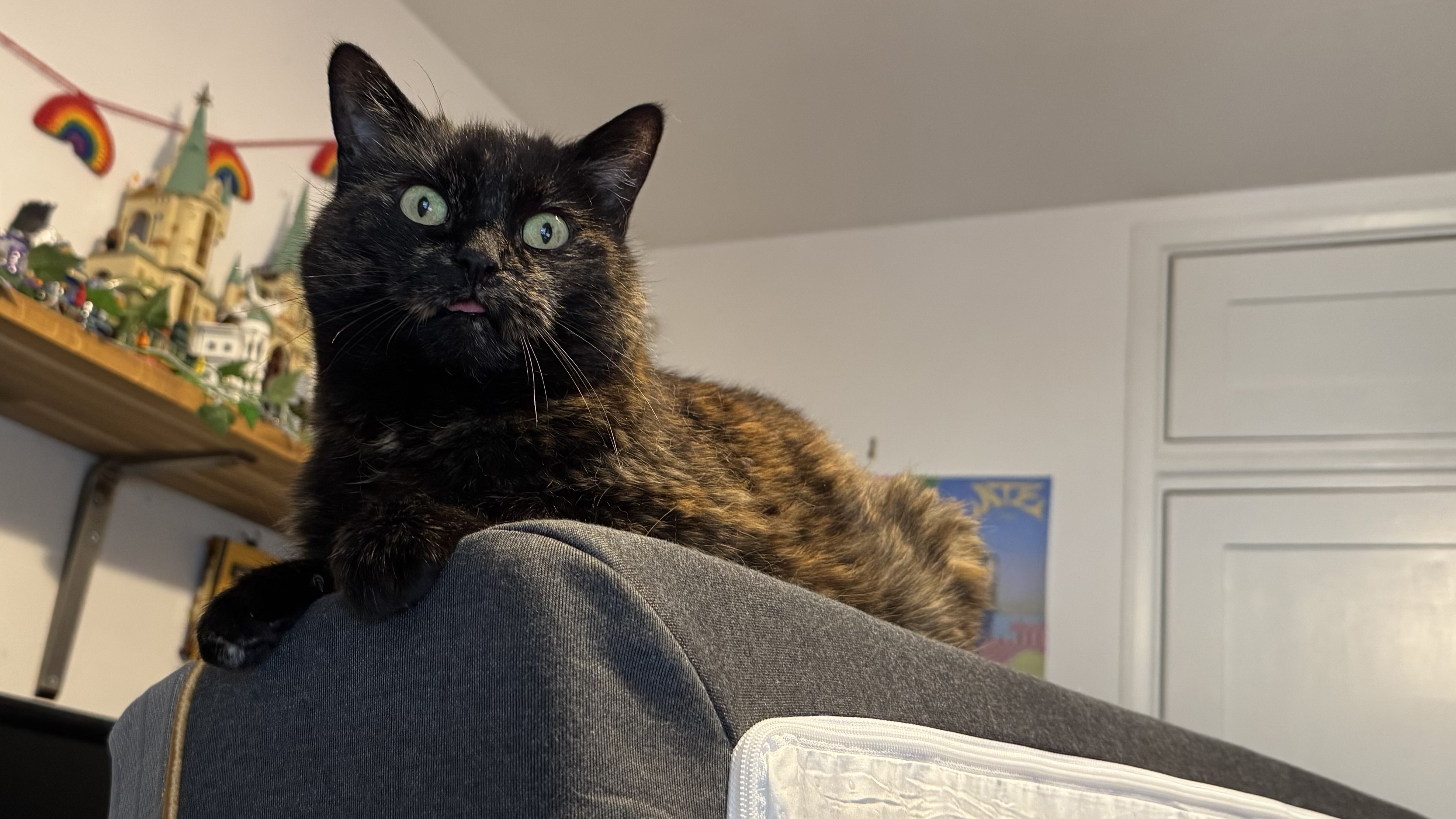 A brindle tortoiseshell cat sitting on top of the EGOHOME Hybrid mattress with her tongue out.
