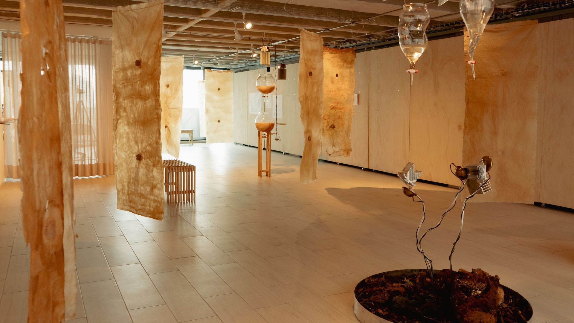 A new free art gallery just opened near London's South Bank
