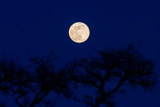 The January full moon seen over Andria, Italy, on January 25, 2024
