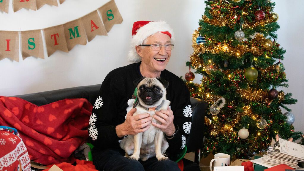 Paul O&#039;Grady for the Love of Dogs: Paul holding a pug sitting next to a Christmas tree