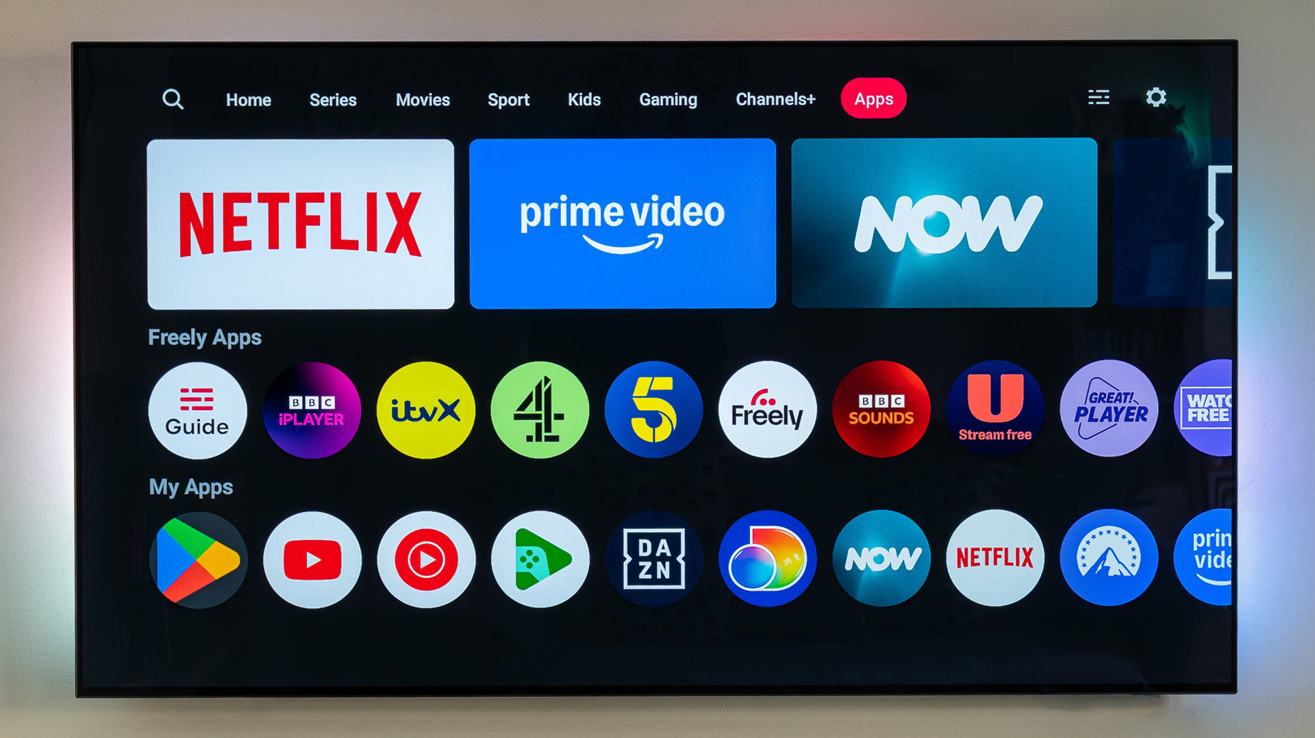 Netgem Pleio review image