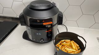 Fries cooked in the Ninja Foodi 11-in-1 SmartLid multi-cooker