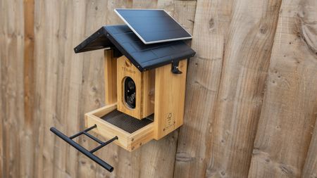 The TT Nature bird feeder camera on a garden fence
