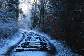 Forest of Dean, The Iron Road by Keir Smith.