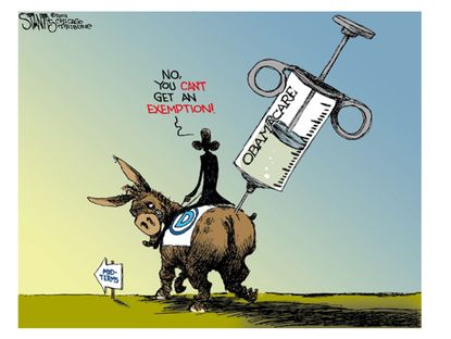 Political cartoon midterms Democrats ObamaCare