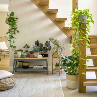 open plan living room space with plants under stairs on console table, various pots, hanging plants, rug, coir pouffe, stone floor