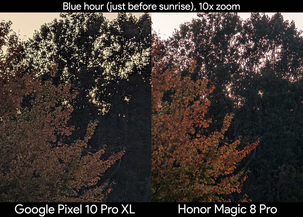Comparing zoom photos at blue hour of foliage between the Honor Magic 8 Pro and Google Pixel 10 Pro XL