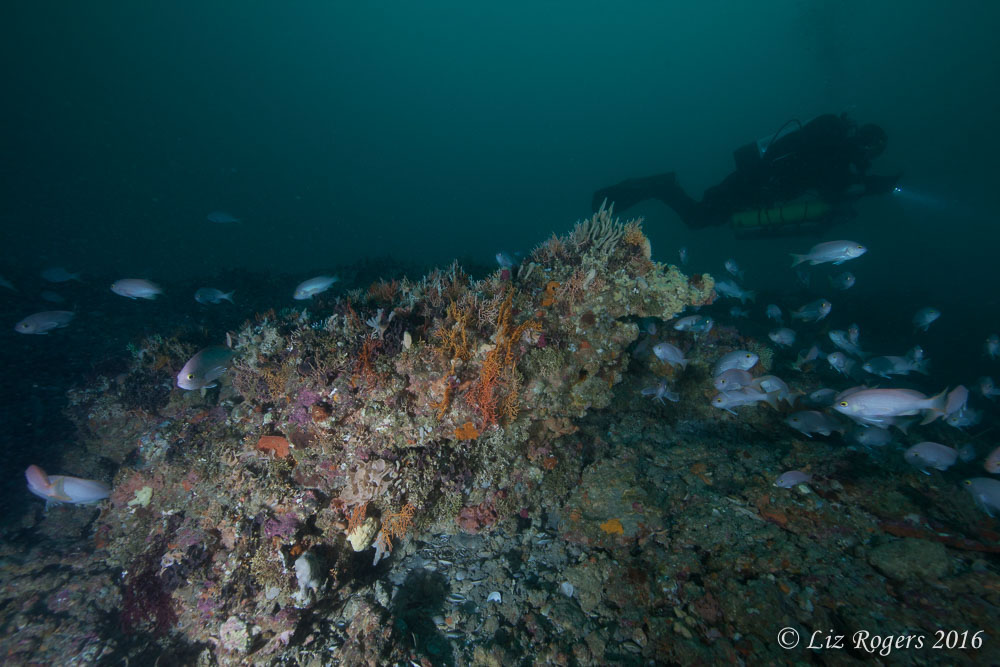 drowned apostles