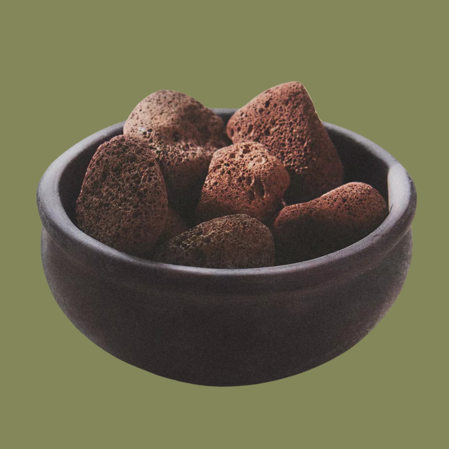 A bowl of lava rocks