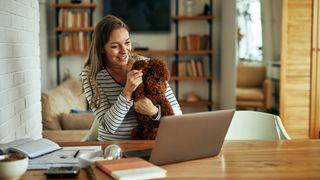 Poodle with home worker at laptop