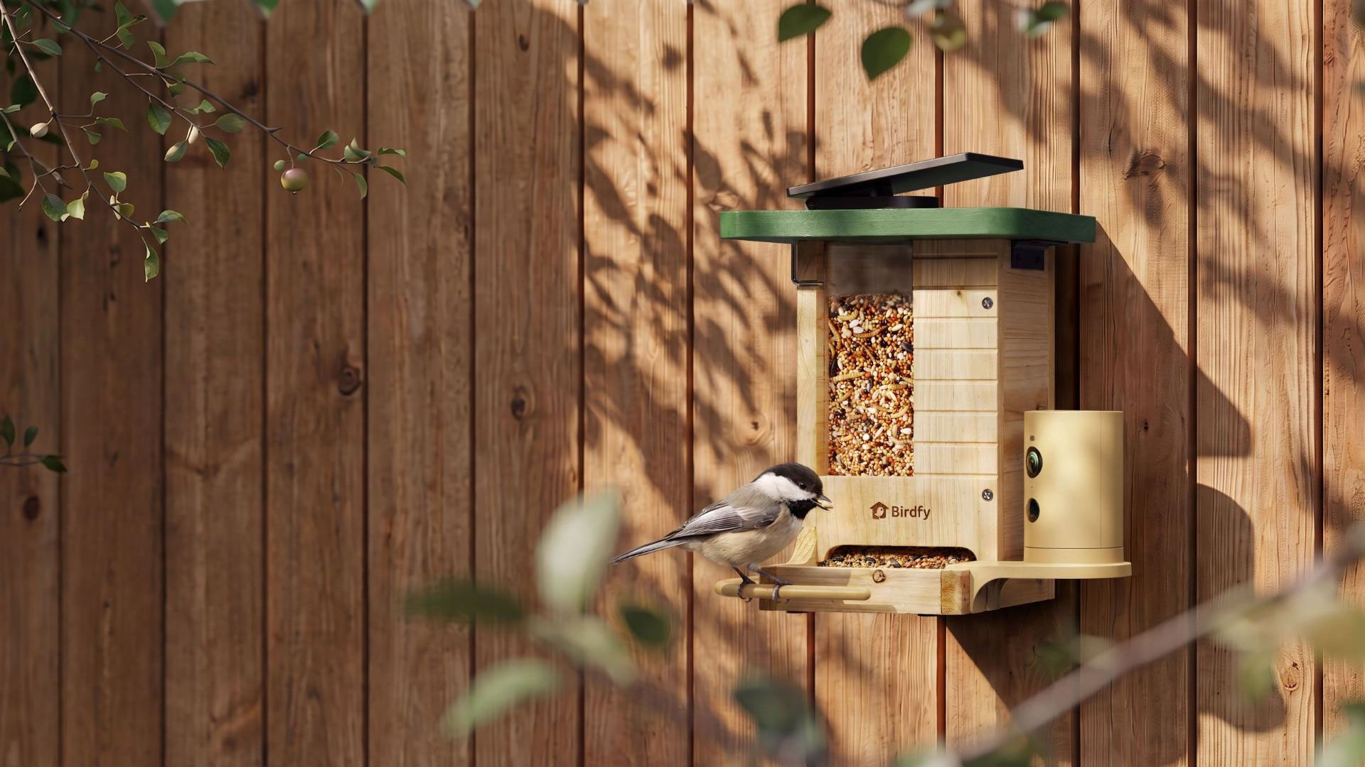 Birdfy smart birding devices