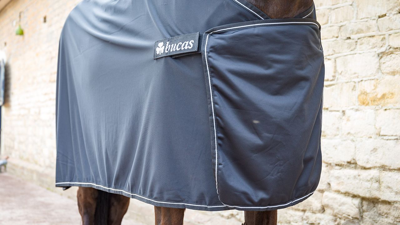 Bucas Panel Prize cooler review