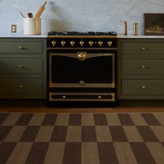 Green kitchen with ruggable checked rug.